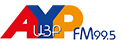 ayp logo